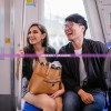(倩倩倩倩)倩倩来了，探索未知的新篇章