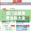 澳门正版免费资料大全新闻7456：揭秘最新澳门资讯及玩法大全