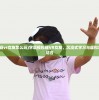(学霸模拟器vr女友怎么玩)学霸模拟器VR女友，沉浸式学习与虚拟恋爱的完美结合