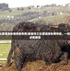 (豚鼠特工队国语版在线观看免费)豚鼠特工队国语版在线观看，一场别开生面的动画盛宴