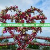 (王者一刀名扬传世官网)王者一刀名扬传世，游戏内外的传奇故事