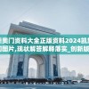 新奥门资料大全正版资料2024凯旋门图片,现状解答解释落实_创新版Hddv.3.553
