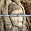 (远征军历史简介概括)远征军历史简介，波澜壮阔的征程与不朽的功勋