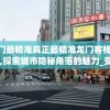 澳门最精准真正最精准龙门客栈7456,探索城市隐秘角落的魅力_变更版.9.443