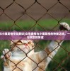 (乱世无双攻略)乱世无双，休闲养成游戏的新纪元