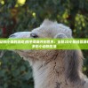 (仙道奇侠手游)仙道奇侠激活码，探索神秘世界的必备密钥