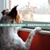 探寻2024澳门正版猛虎报资料：最新猛虎预测与分析大揭秘