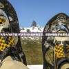 (平头哥大作战下载)平头哥大作战神奇宝贝，探索神秘世界的冒险之旅