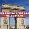 2024新澳免费资料三头凯旋门图片,未来趋势解释落实_占位款v.6.775