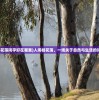(人闲桂花落闲字好在哪里)人闲桂花落，一场关于自然与生活的诗意对话