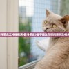 (乌合之众:正义集结)乌合之众，正义集结的觉醒之路 —— 0.1版本探索与启示