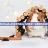 (浣熊为什么讨人厌)浣熊不高兴，为何停运？深度解析背后的原因