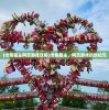 (传奇霸主网页游戏攻略)传奇霸主，网页游戏的新纪元