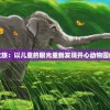 探秘欢乐之旅：以儿童的眼光重新发现开心动物园的奇妙世界