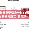 2024年管家婆精准一肖61期198期,深度分析解释落实_典藏款v.6.124