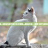 (护肝修仙破解版)修个肝仙内置作弊菜单版，游戏攻略与常见问题解答