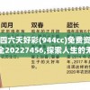 (骰子守卫站)骰子守卫战全面攻略，从入门到精通的实战指南