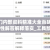 新澳门内部资料精准大全百晓生7456,定性解答解释落实_工具版.3.263