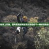 (拉比哩比全收集地图)拉比哩比游戏攻略大全，从入门到精通