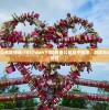 (传奇手游公益服快速-1617wan下载)传奇公益服手机版，游戏与公益的完美结合