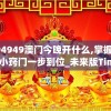 494949澳门今晚开什么,掌握生活小窍门一步到位_未来版Timi.5.466