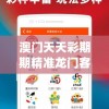 澳门天天彩期期精准龙门客栈管家婆,综合数据解释落实_Adanced.3.943