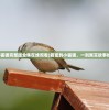(甜蜜的小狐狸完整版全集在线观看)甜蜜的小狐狸，一则寓言故事的深度解读