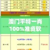 澳门平特一肖100%准资软件截图7456,决策资料解释落实_强力版.5.478