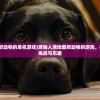 (大汉龙腾好看吗)大汉龙腾打金爆真充，游戏新体验的深度解析
