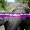 (很多小动物的2d小镇经营游戏18年)萌宠小镇，小动物们的2D经营冒险游戏详解与常见问题解答