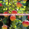 新澳今天最新资料2024,探索澳门魅力与文化风情_苹果款.6.1
