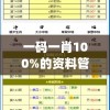 一码一肖100%的资料管家婆,系统分析解释落实_迷你型.6.34