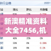 新澳精准资料大全7456,机构预测解释落实方法_集合版.2.484