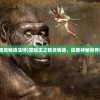 (冒险王之精灵物语法师)冒险王之精灵物语，探索神秘世界的奇幻之旅