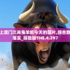 今天晚上澳门三肖兔羊蛇今天的图片,综合数据解释落实_探险版THE.4.297