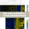 新奥门资料大全正版资料2024火凤凰,解析数据如何有效应用_DP版.4.672
