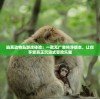 (与裳之恋官网)与裳之恋，探索台服的独特魅力
