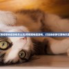 (萌喵宠物店游戏怎么玩)萌喵宠物店游戏，打造你的梦幻宠物乐园