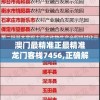 澳门最精准正最精准龙门客栈7456,正确解答落实_特别品.3.124