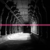(诡道修真路免广告折相思版)诡道修真路，免广告，探寻真实之路的原创之旅