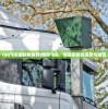(qq飞车国际服官网)国际飞车，超越极限的速度与激情