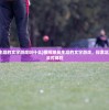 (模拟球员生涯的文字游戏叫什么)模拟球员生涯的文字游戏，探索足球世界的沉浸式体验
