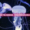 (水族馆安卓下载)水族馆乐园，无限金币无限钻石的奇幻世界探索