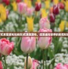 (花满堂游戏兑换码)花满堂游戏，绽放虚拟世界的繁花似锦
