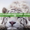 (上古传奇之十二生肖在线播放)上古传奇之十二生肖传，探寻古老故事的魅力与传承