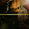 (铁血王师手游官网)铁血王师果盘游戏，策略与荣耀的战场