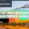 2023澳门资料大全正版资料免费,专业研究解释落实_绿色集.4.667