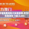 澳门最精准免费资料大全旅游团,智慧与策略的完美结合_C版.6.695