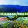 新澳资料免费大全火凤凰,深度分析解释落实_粉丝版8.462