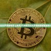 (不休的乌拉拉萨满属性怎么加点)不休的乌拉拉萨满技能搭配最新分析与探讨